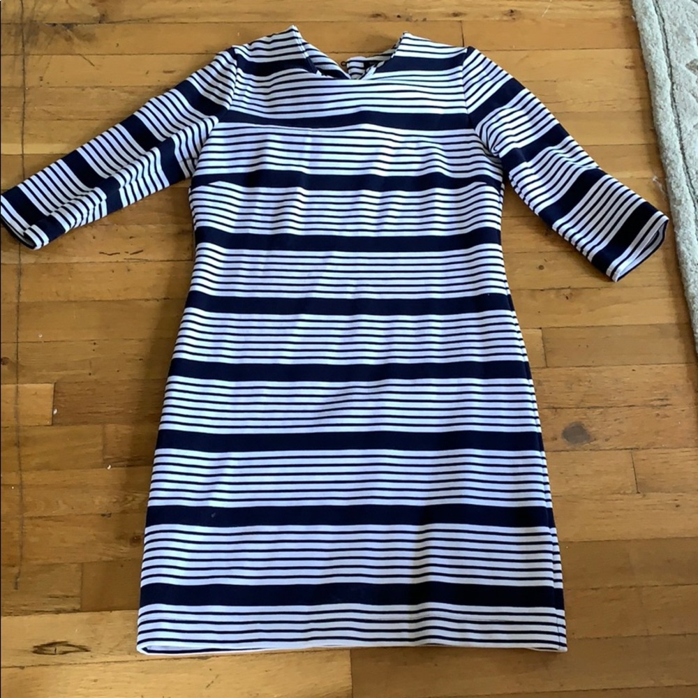 Banana Republic Form Fitting Navy Striped Dress